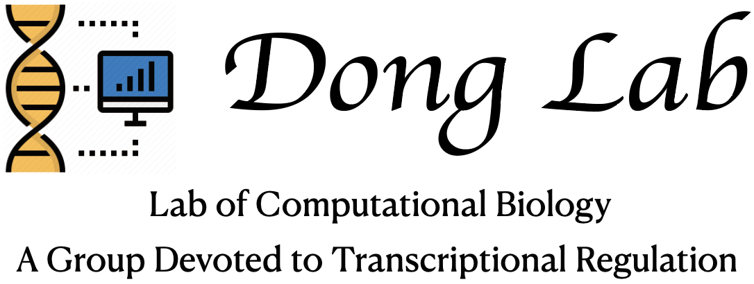 Footer Image